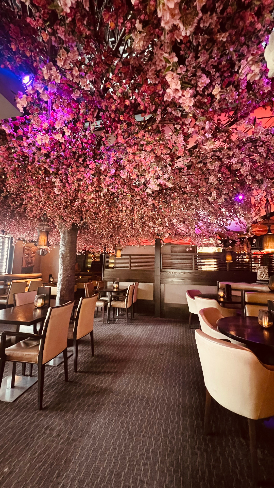 The high vaulted interior of Zen with the cherry blossom tree rising through the volume.